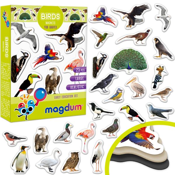 

Набор магнитов Magdum «Birds photo»(ML4031-30EN)