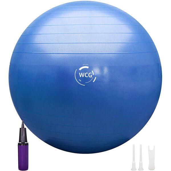 

М'яч для фітнесу (фітбол) WCG 65 Anti-Burst 300кг Голубий + насос