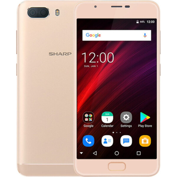 

Sharp R1S gold