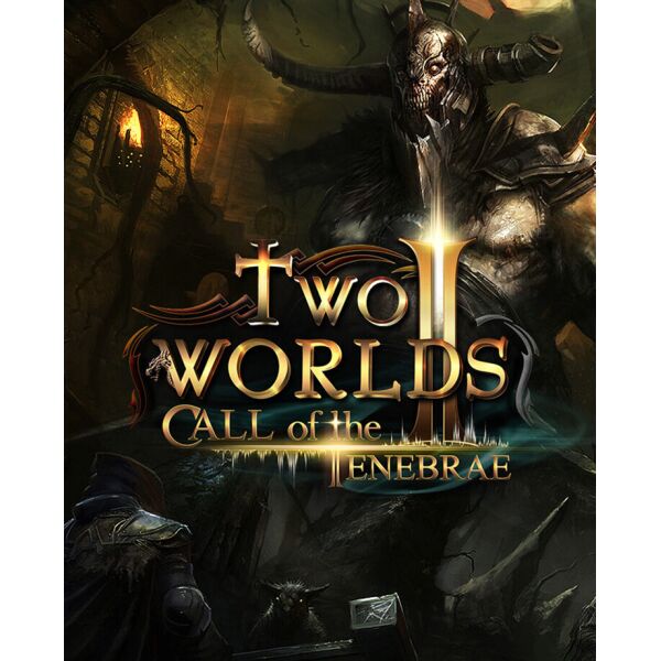 

Игра Two Worlds II - Call of the Tenebrae для ПК (Ключ активации Steam)