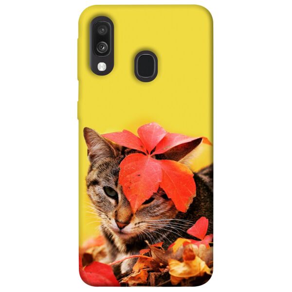 

Чехол itsPrint Осенний котик для Samsung Galaxy A40 (A405F)