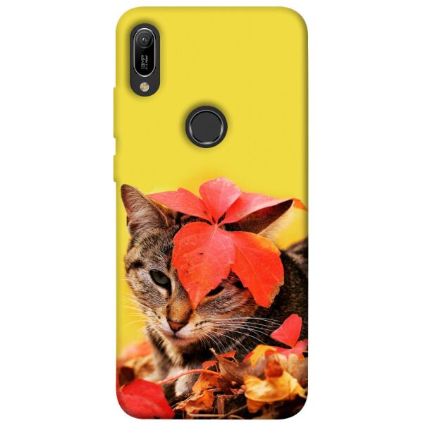 

Чехол itsPrint Осенний котик для Huawei Y6 (2019)