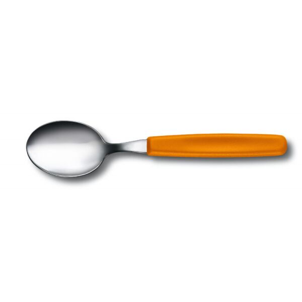 

Столовая ложка Victorinox SwissClassic Table Spoon 5.1556.L9