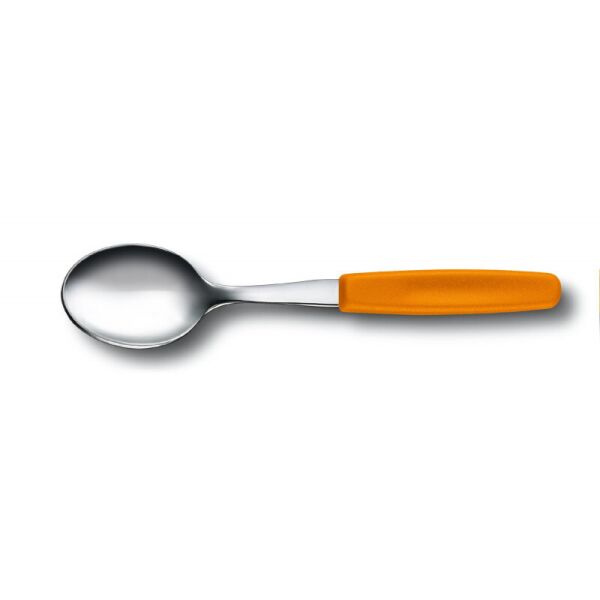 

Чайная ложка Victorinox SwissClassic Tea Spoon 5.1576.L9