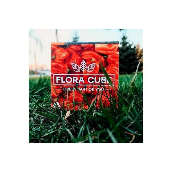 

Экокуб "Flora Cube", перец хабанеро