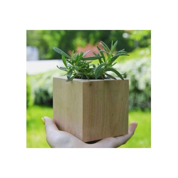 

Экокуб "Flora Cube", лаванда