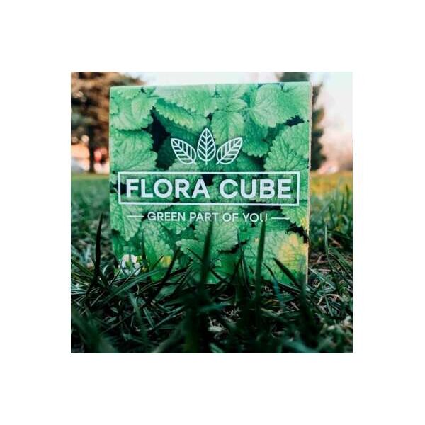 

Экокуб "Flora Cube", мелисса