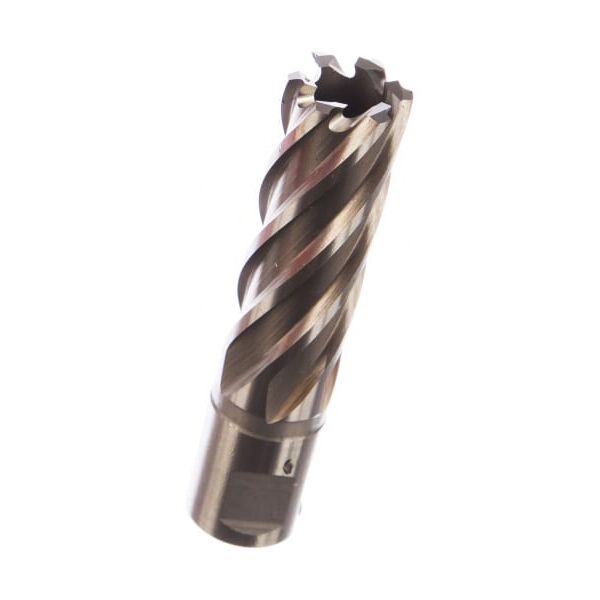 

Кольцевая фреза HSS (19х50 мм; Weldon 19) Milwaukee 4932343294