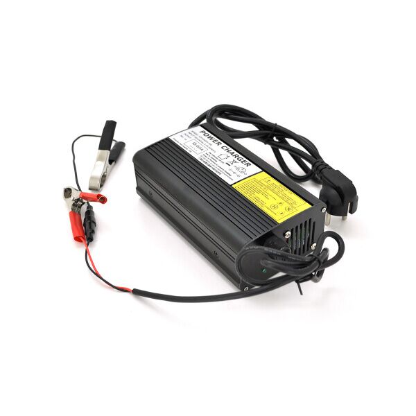 

Зарядное устройство для аккумуляторов Merlion LiFePO4 48V(58,4V)-5A-240W