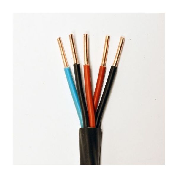 

Кабель ВВГ нгд 5х4,0 мм.2.