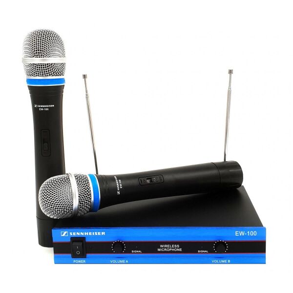 

Радиомикрофон SKY SOUND EW100