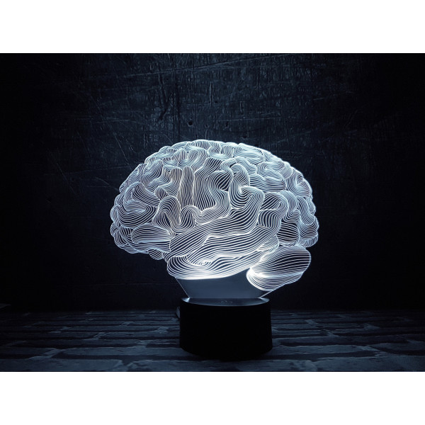 

Ночник 3DTOYSLAMP Мозг