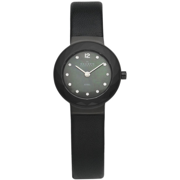 

Skagen 456SBLB