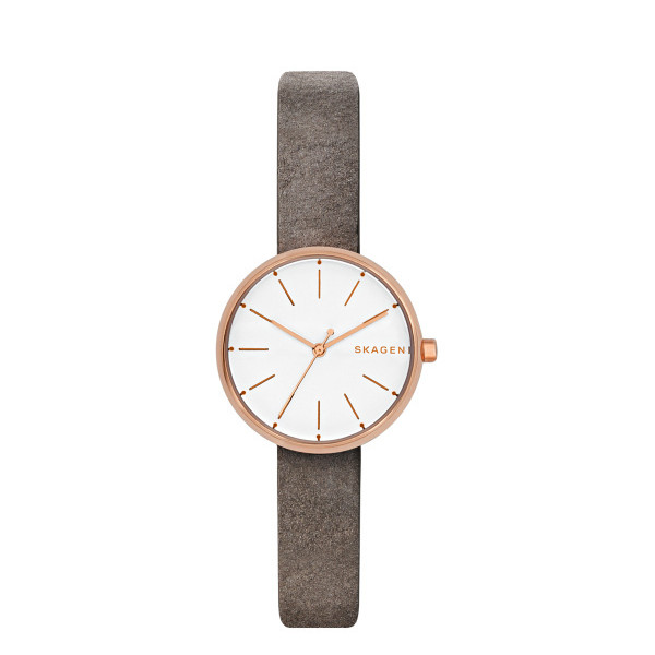 

Наручные часы Skagen SKW2644