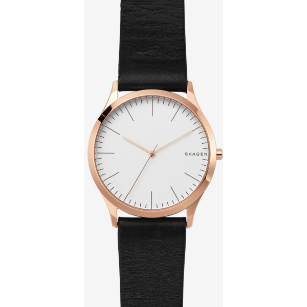 

Наручные часы Skagen SKW1102