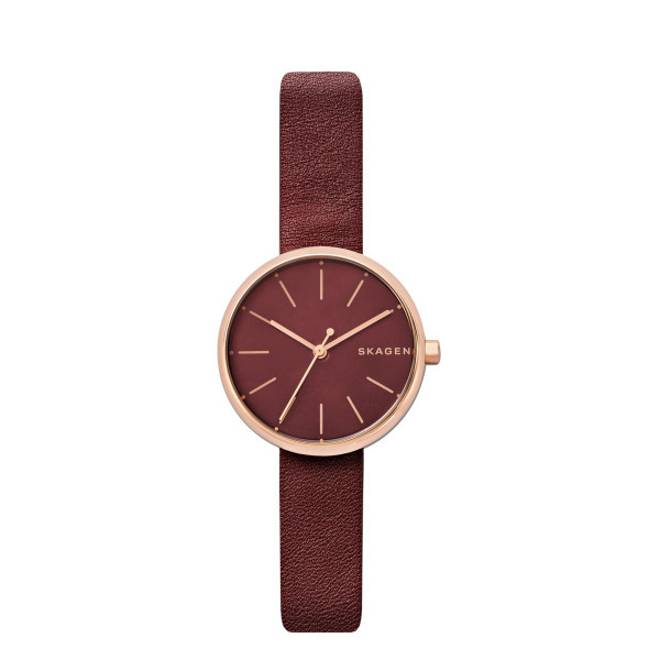 

Наручные часы Skagen SKW2646