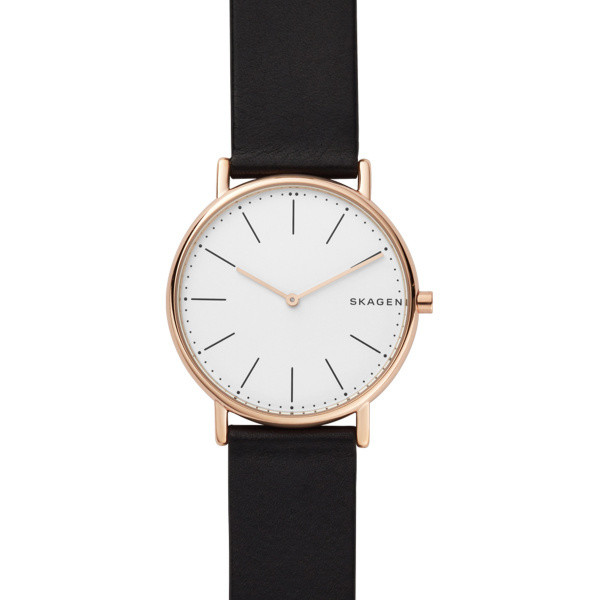 

Наручные часы Skagen SKW6430