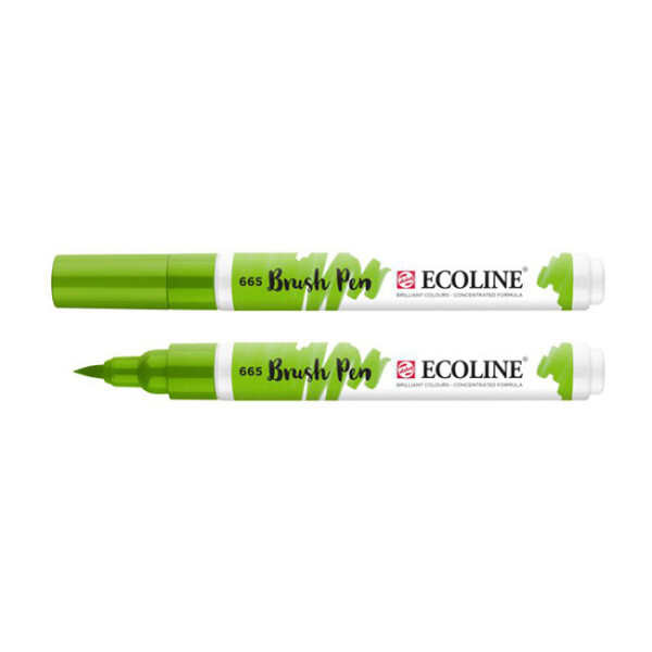 

Маркер акварельный кисточный Ecoline Brushpen Зеленая весенняя (665) (11506650)