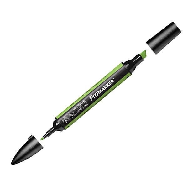 

Маркер двусторонний Winsor Newton Promarker Зеленый листовой G258