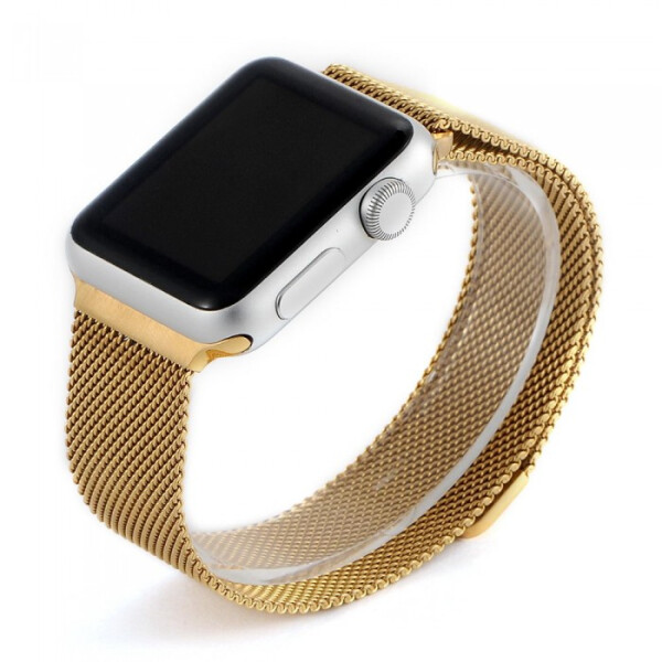 

COTEetCI W6 Magnet Band for Apple Watch 38mm Gold