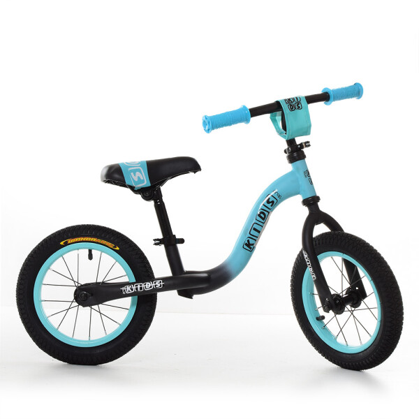 

Беговел Profi Kids W1201-8 Turquoise / Black mat (W1201)