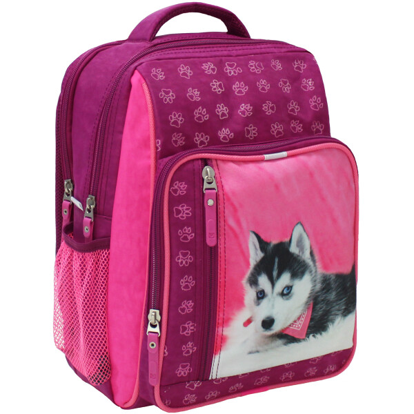 

Рюкзак школьный 8 л. Bagland 33 x 24 x 11 см Малиновый