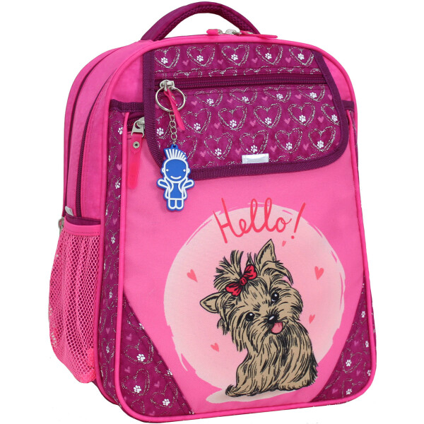 

Рюкзак школьный Отличник 20 л. Bagland 35 x 27 x 21 см Малиновый