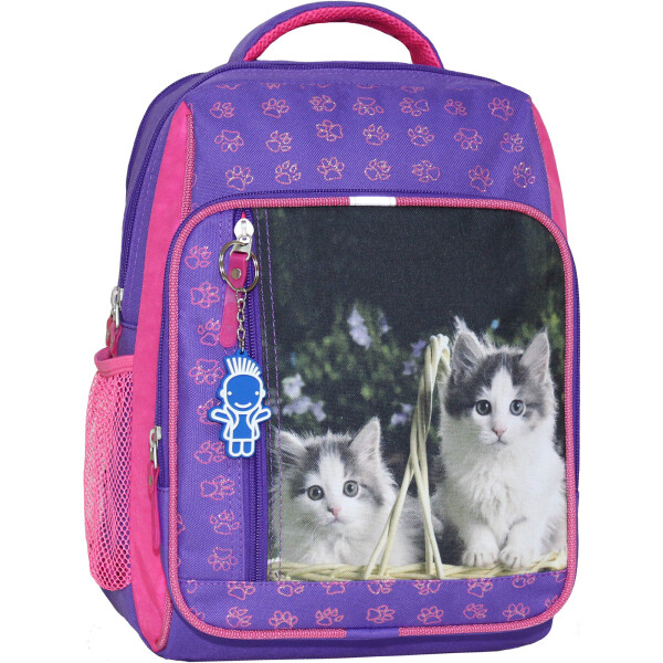 

Рюкзак школьный 8 л. Bagland 33 x 24 x 11 см Фиолетовый