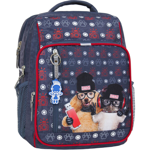 

Рюкзак школьный 8 л. Bagland 33 x 24 x 11 см Серый