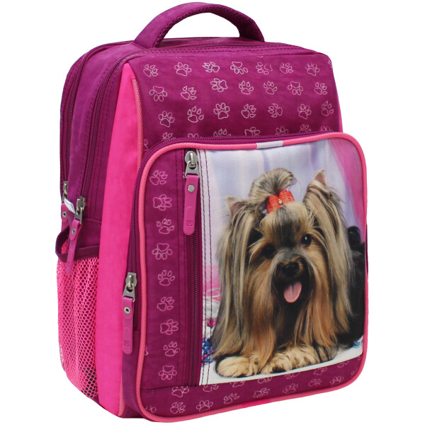 

Рюкзак школьный 8 л. Bagland 33 x 24 x 11 см Малиновый