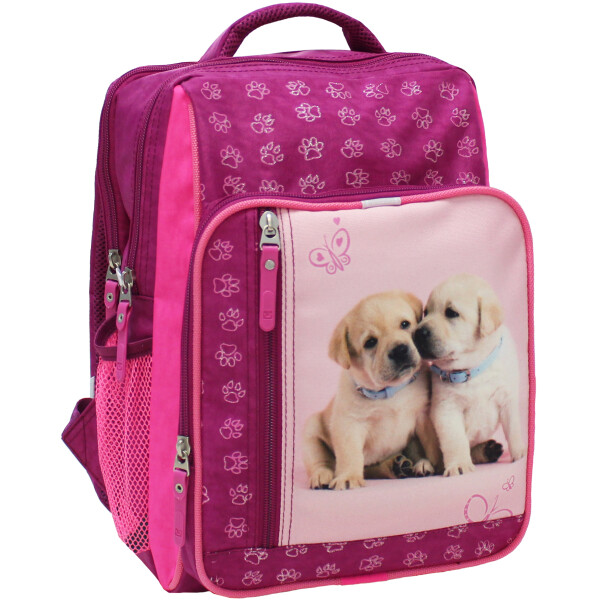 

Рюкзак школьный 8 л. Bagland 33 x 24 x 11 см Малиновый