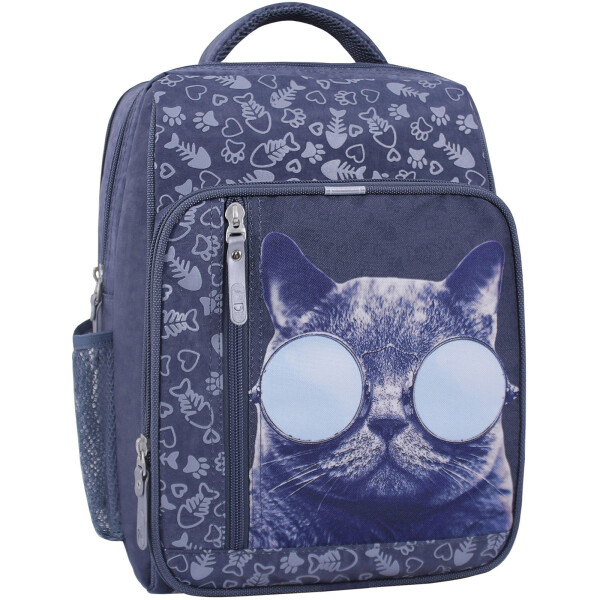 

Рюкзак школьный 8 л. Bagland 33 x 24 x 11 см Серый