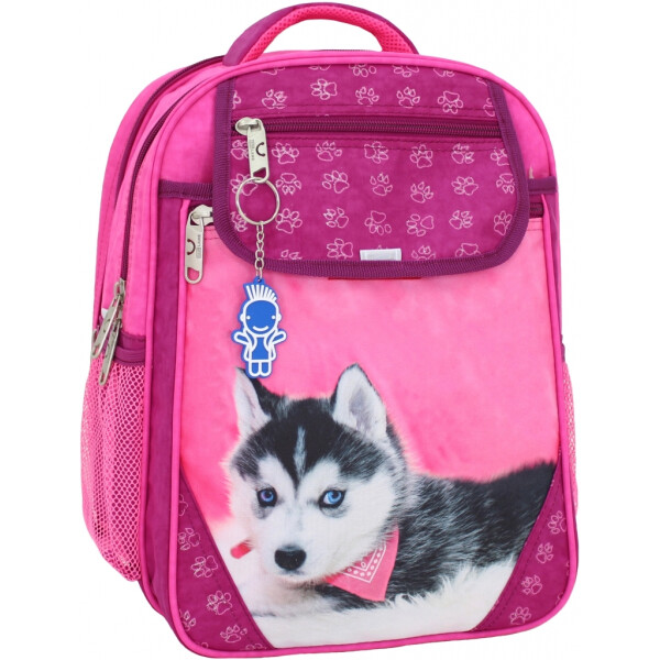 

Рюкзак школьный Отличник 20 л. Bagland 35 x 27 x 21 см Малиновый