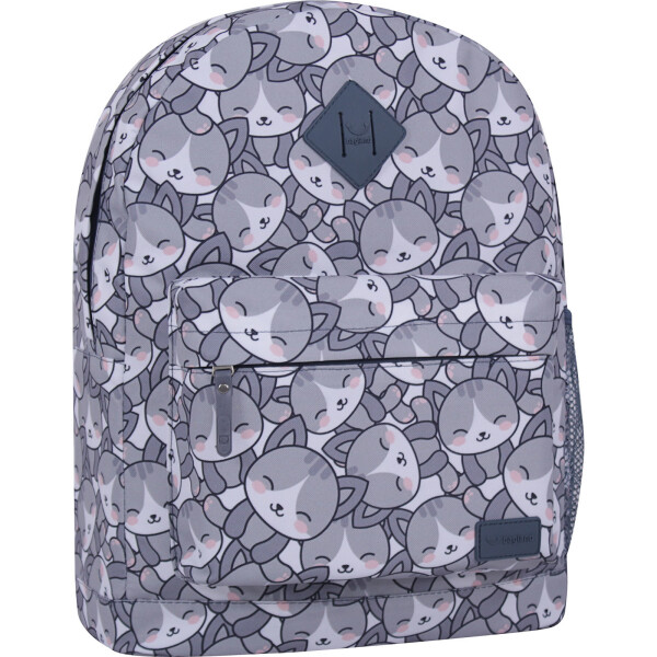 

Рюкзак Молодежный 17 л. Bagland 38 x 29 x 15 см Разноцветный