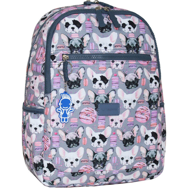 

Рюкзак Young 13 л. Bagland 35 x 25 x 15 см Разноцветный
