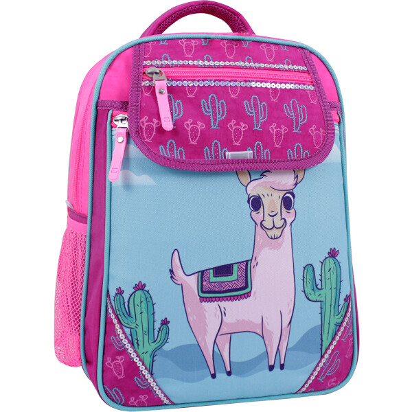 

Рюкзак школьный Отличник 20 л. Bagland 35 x 27 x 21 см Малиновый