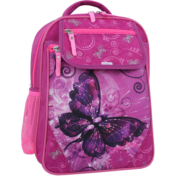 

Рюкзак школьный Отличник 20 л. Bagland 35 x 27 x 21 см Малиновый