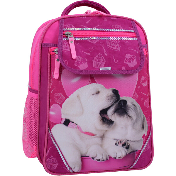 

Рюкзак школьный Отличник 20 л. Bagland 35 x 27 x 21 см Малиновый