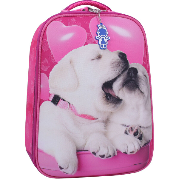 

Рюкзак Turtle 17 л. Bagland 38 x 28 x 16 см Малиновый