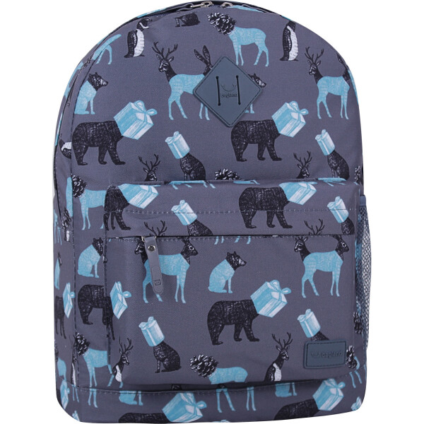 

Рюкзак Молодежный 17 л. Bagland 38 x 29 x 15 см Разноцветный