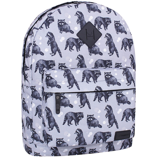 

Рюкзак Молодежный 17 л. Bagland 38x29x15 см Разноцветный