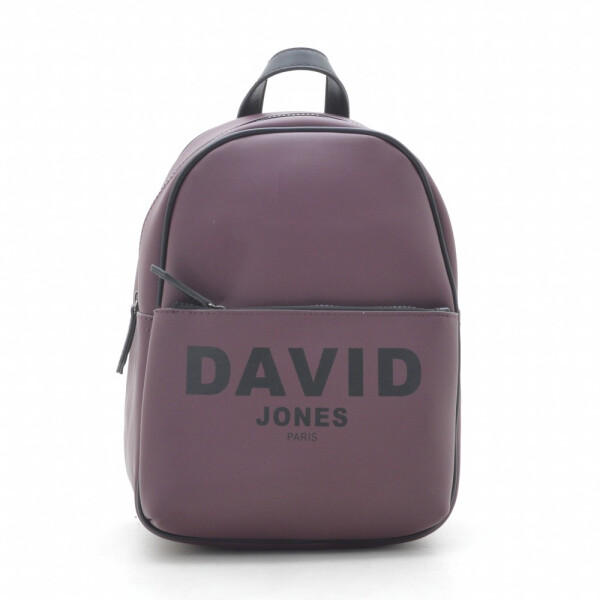

Женский рюкзак David Jones 31х21х12 см Фиолетовый