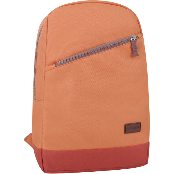 

Рюкзак Amber 15 л Bagland 42 х 30 х 12 см Оранжевый