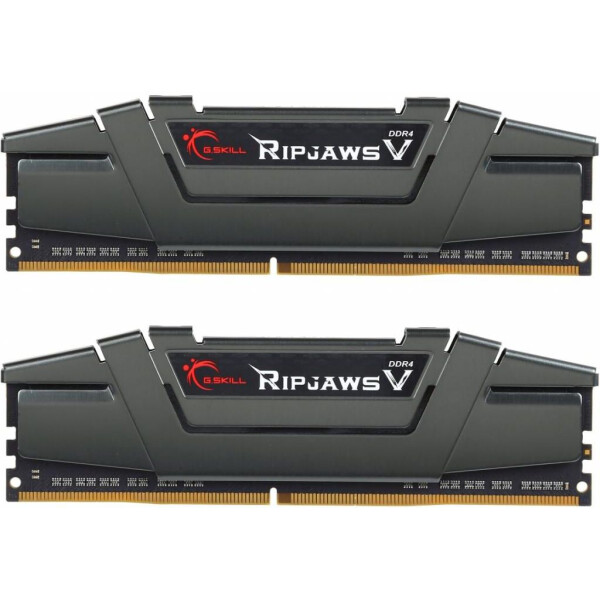 

DDR4 16GB (2x8GB) 3200 MHz RipjawsV G.Skill (F4-3200C16D-16GVGB)