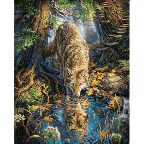 

Картина по номерам Волк в дикой природе, 40x50 см., Babylon