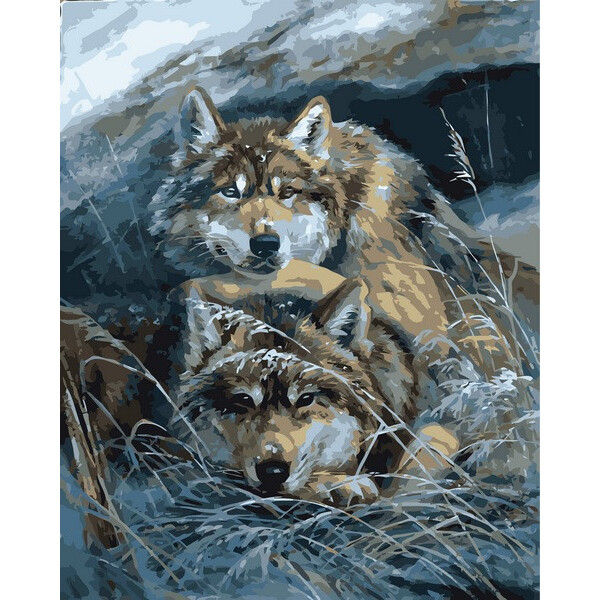 

Картина по номерам Настоящие чувства, 40x50 см., Babylon