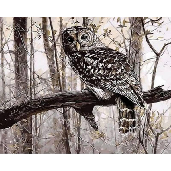 

Картина по номерам Сова в зимнем лесу. Худ. Рассел Кобейн, 40x50 см., Mariposa