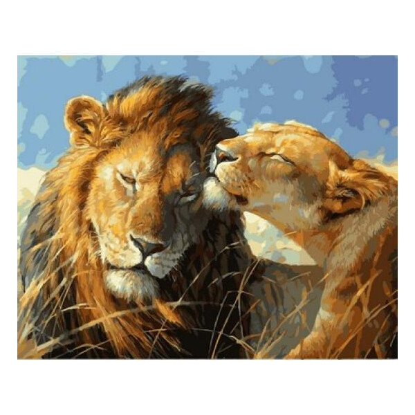 

Картина по номерам Кошачья любовь, 40x50 см., Babylon