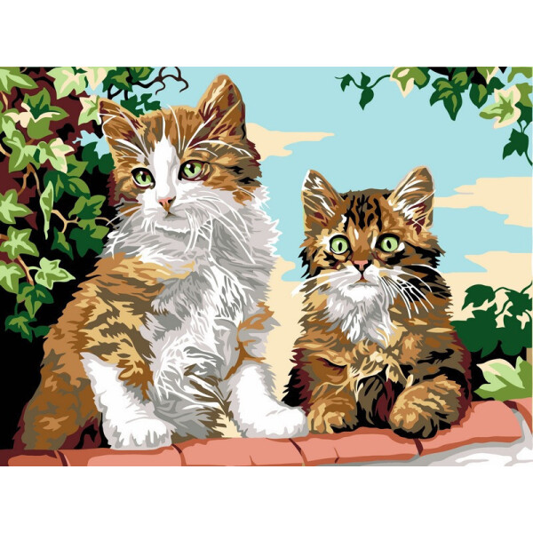 

Картина по номерам Котята на заборе, 30x40 см., Babylon