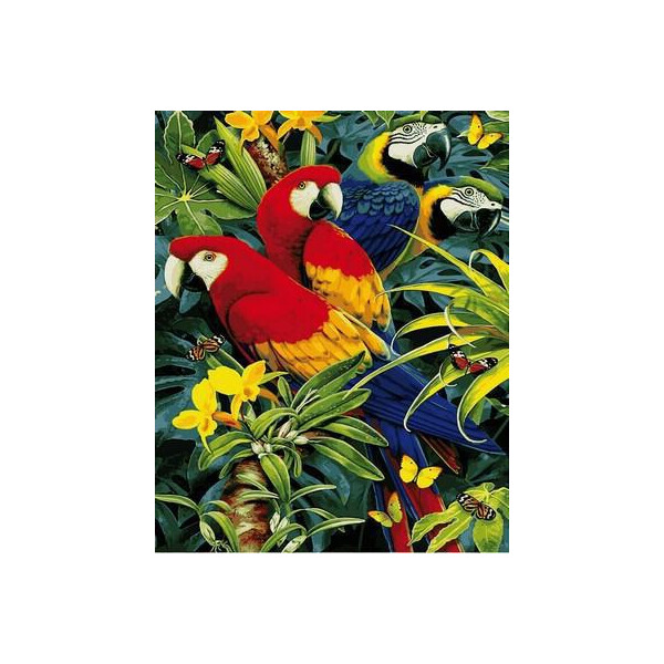 

Картина по номерам Четыре попугая. Худ. Ховард Робинсон, 40x50 см., Mariposa